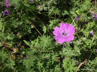 anobello-26-05-2013 09-59-20